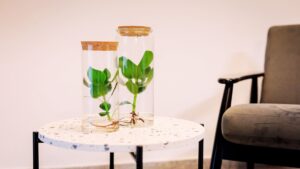 Poczekalnia w gabinecie osteopaty.